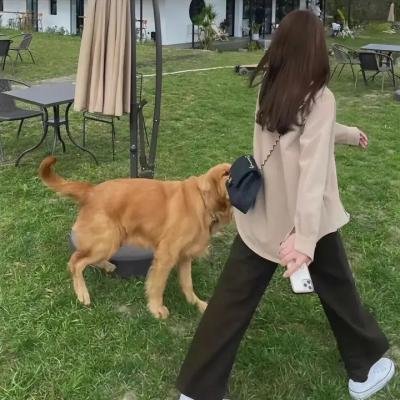 悦来悦乐之醉爱之城
